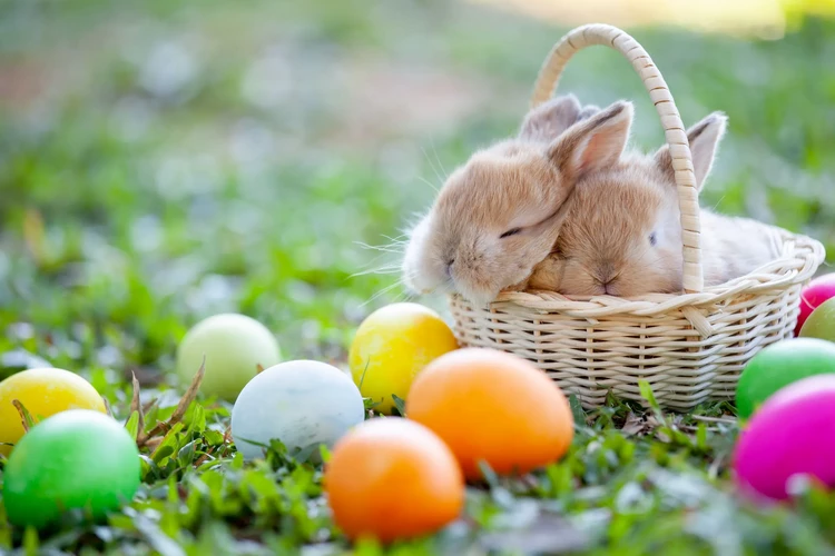 What Is the Origin of the Easter Bunny