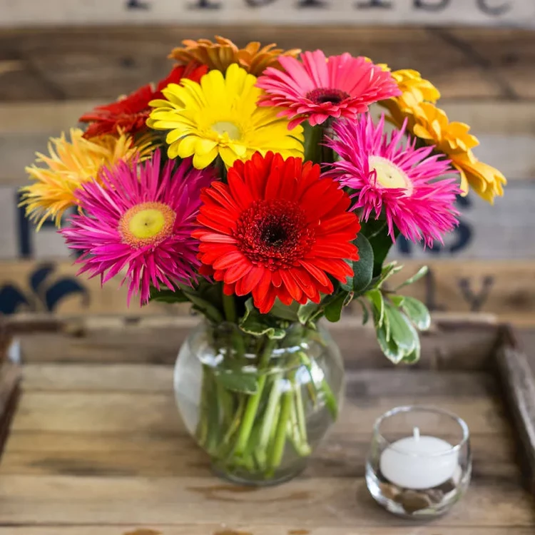 gerbera Womens day gifts and flowers ideas