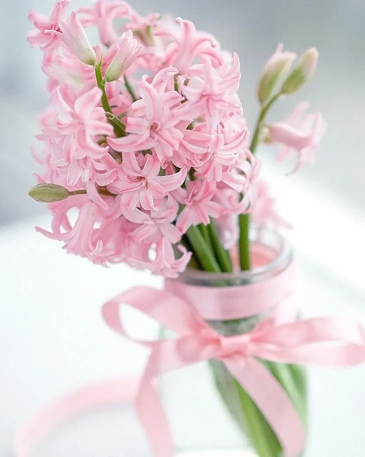 what flowers to give on women's day Hyacinths