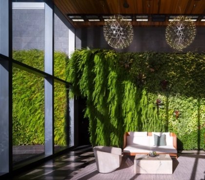 Biophilic-Design-2022-How-Nature-Contributes-to-Our-Harmony-and-Performance