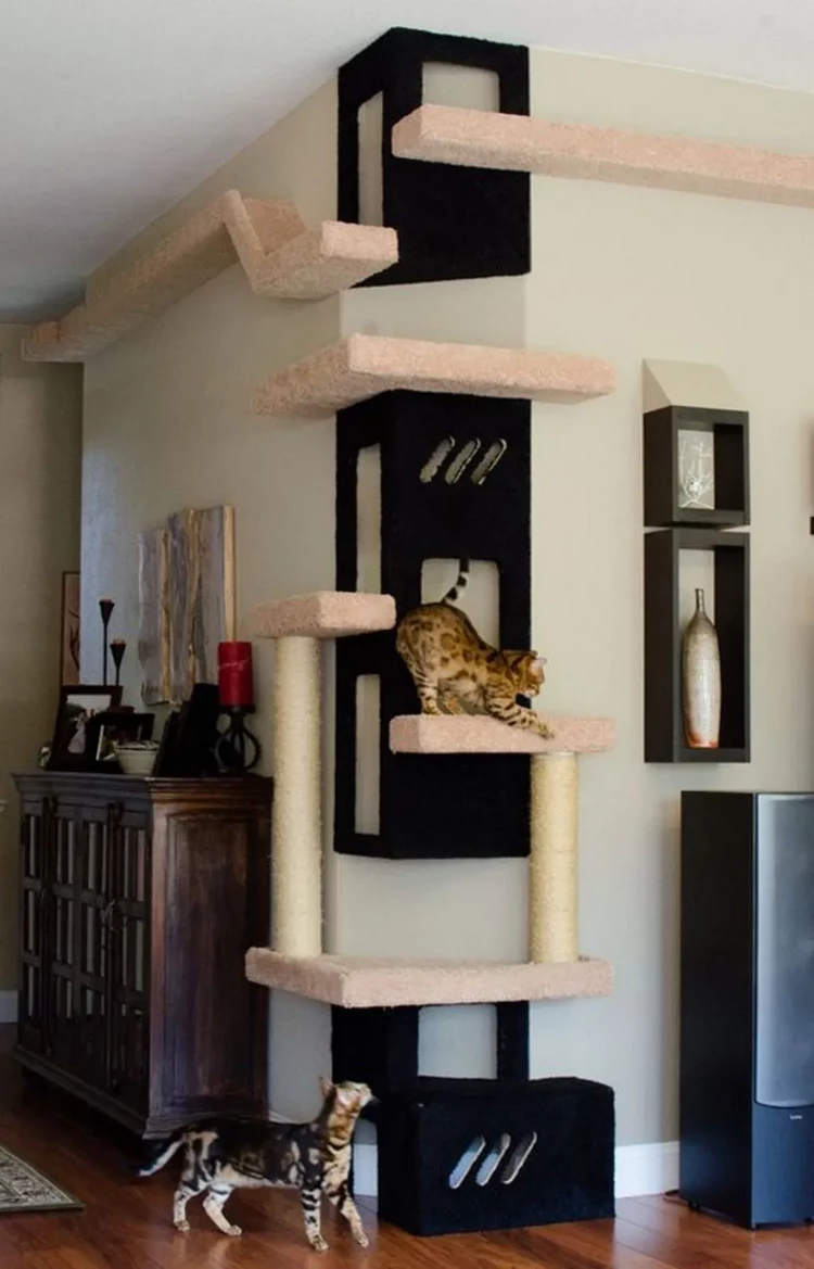 DIY Ideas for Vertical Space for cats to Climb and Jump
