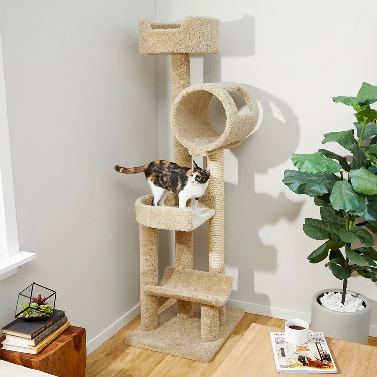 Play Hunt and Hide Space for cats