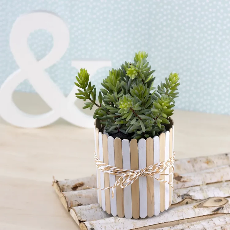 DIY Planters Popsicle Stick Crafts for Adults