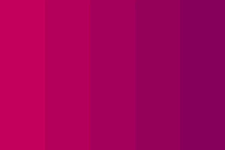 what is fuchsia color