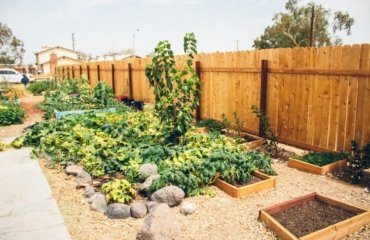 6-Landscaping-Ideas-Privacy-Fence-Tips