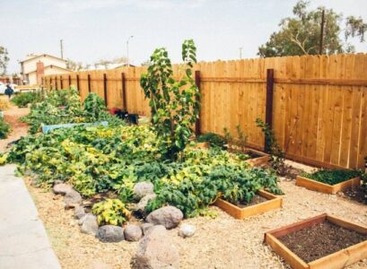 6-Landscaping-Ideas-Privacy-Fence-Tips