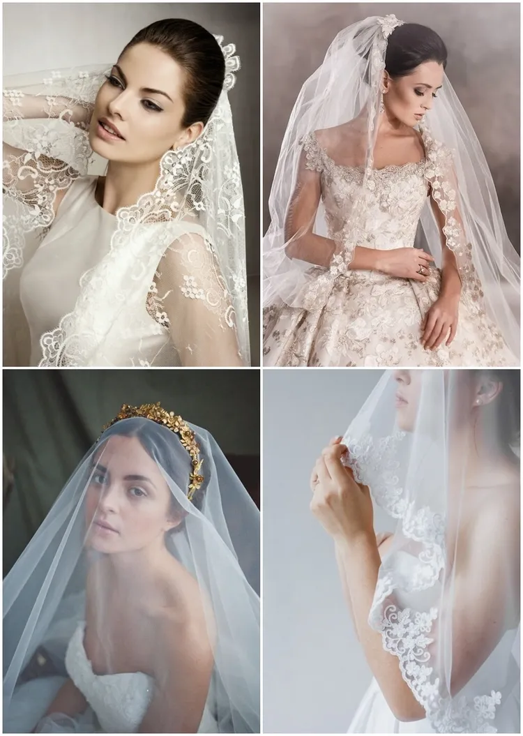 Fashionable Wedding Hairstyle Accessories Veil