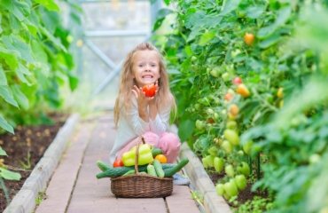 What-Greenhouse-Plants-to-Grow-and-Enjoy-Fresh-Fruits-and-Vegetables