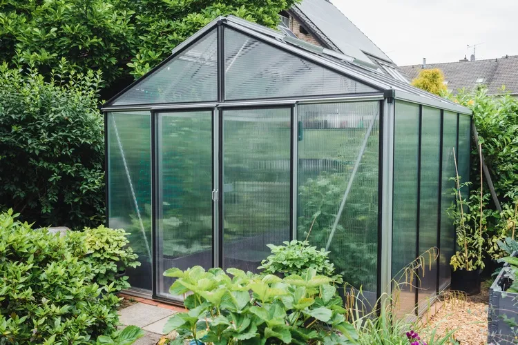 Why Choose The Greenhouse Growing Method