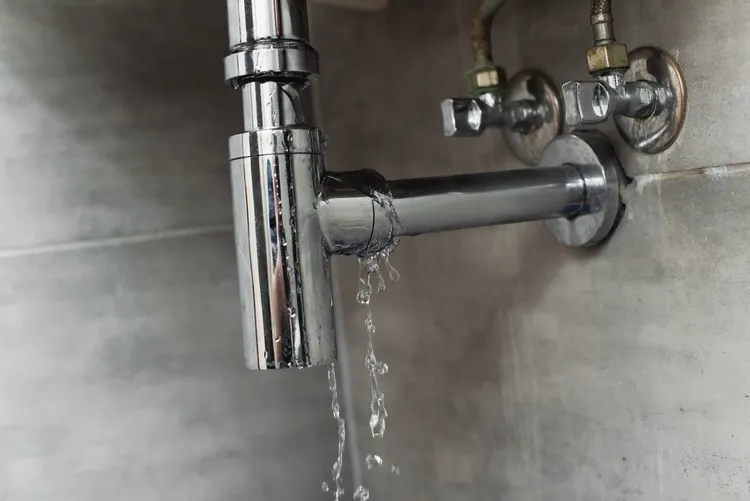 dripping faucets may be the result of damaged pipes