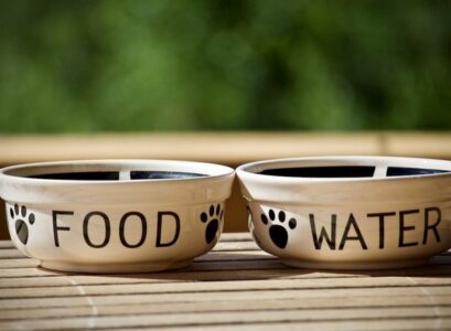 Dog-Bowl-Cleaning-Mistakes-That-Can-Get-Us-and-Our-Pet-Seriously-Ill