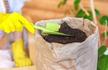 Garden-trend-2022-How-to-use-kitchen-waste-as-fertilizer