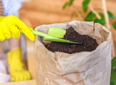 Garden-trend-2022-How-to-use-kitchen-waste-as-fertilizer