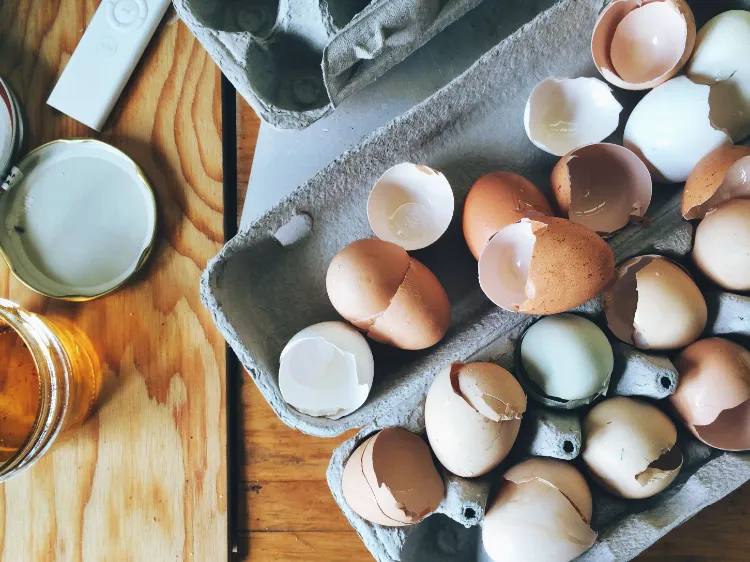 garden trends how to use eggshells as fertilizer