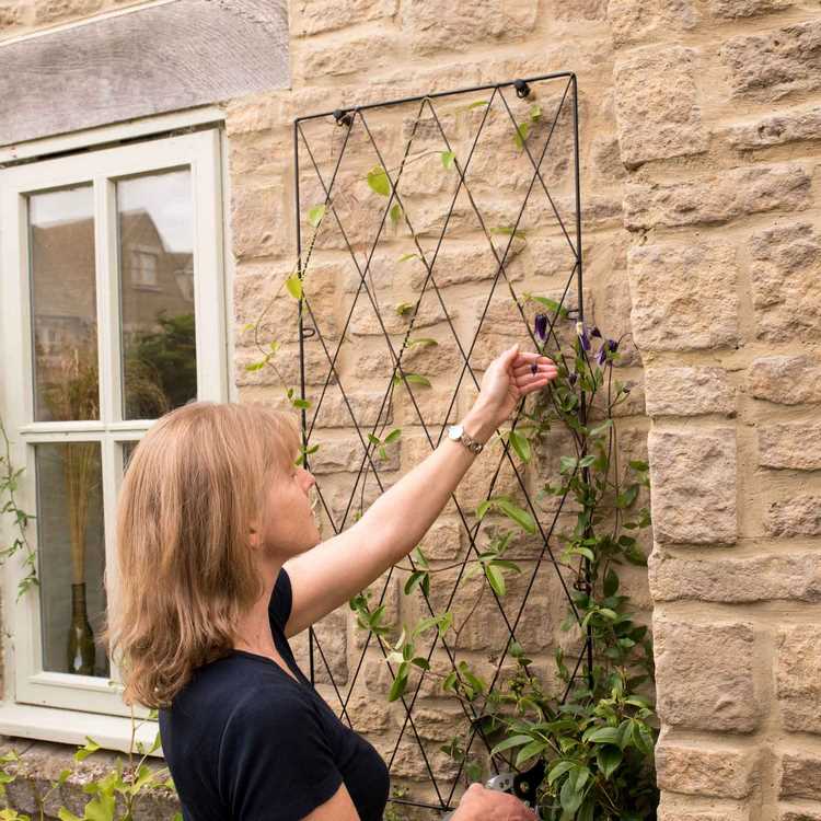 wire trellis ideas to support climbing roses