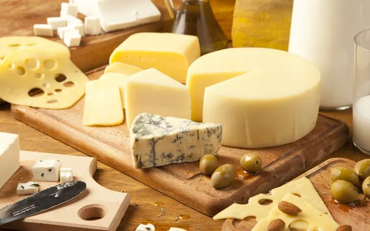 Cheese is an excellent source of protein