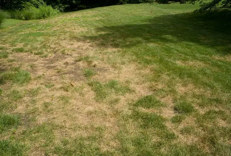 Lawn care in hot and dry conditions do not leave items in place for long