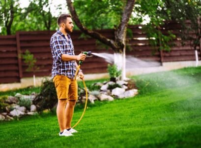 Lawn-care-in-hot-and-dry-weather-watering-how-often-and-when