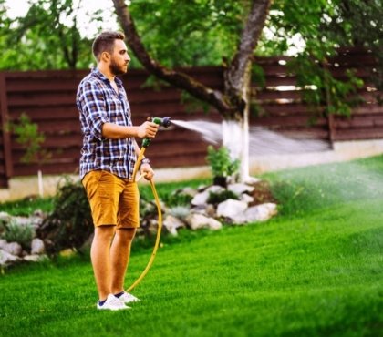 Lawn-care-in-hot-and-dry-weather-watering-how-often-and-when