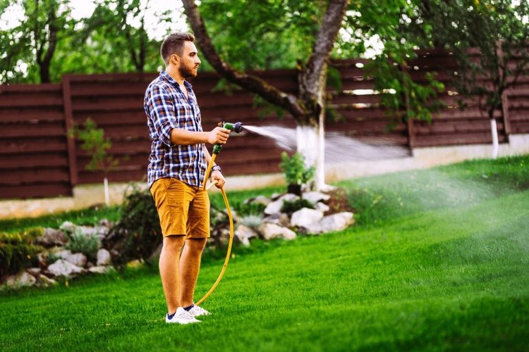Lawn care in hot and dry weather watering how often and when