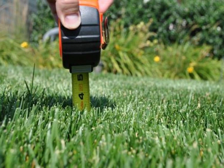 Proper lawn care in heat in summer mow slightly higher than normal