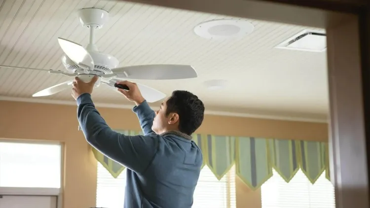 clean ceiling fan wings with damp cloth