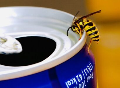 how-to-keep-wasps-off-the-table
