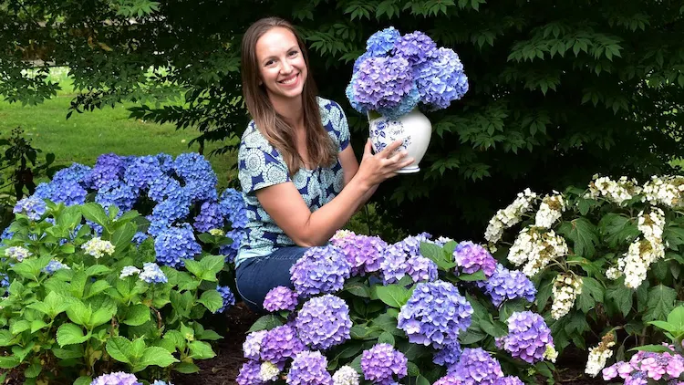 DIY decoration with hydrangeas We give you some tips and ideas