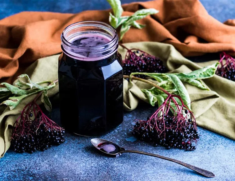 Elderberry to treat colds and flu