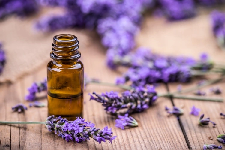 Essential Oil Lavender how to use