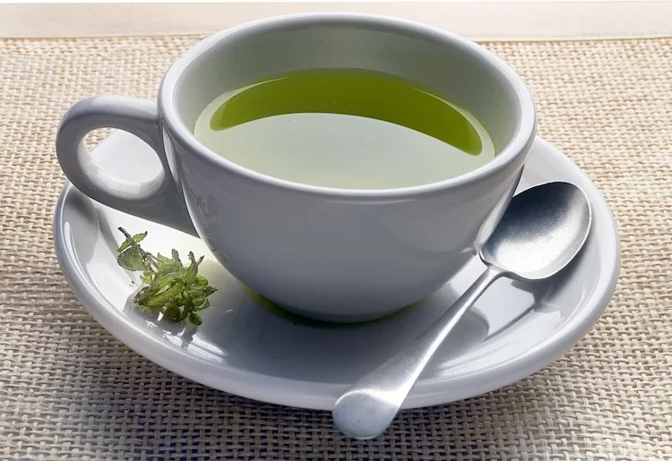Green tea can stimulate weight loss