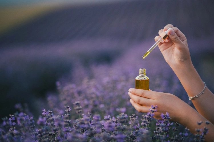 How to use lavender oil for house body mind
