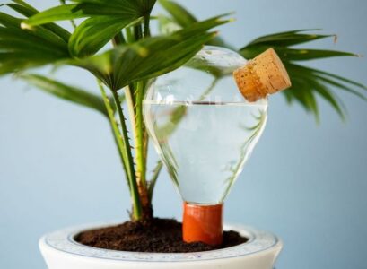 How-to-water-your-plants-when-on-holiday-and-keep-the-soil-moist
