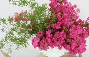 bouquet-of-crepe-myrtle-in-a-white-vase