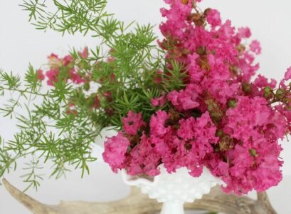 bouquet-of-crepe-myrtle-in-a-white-vase