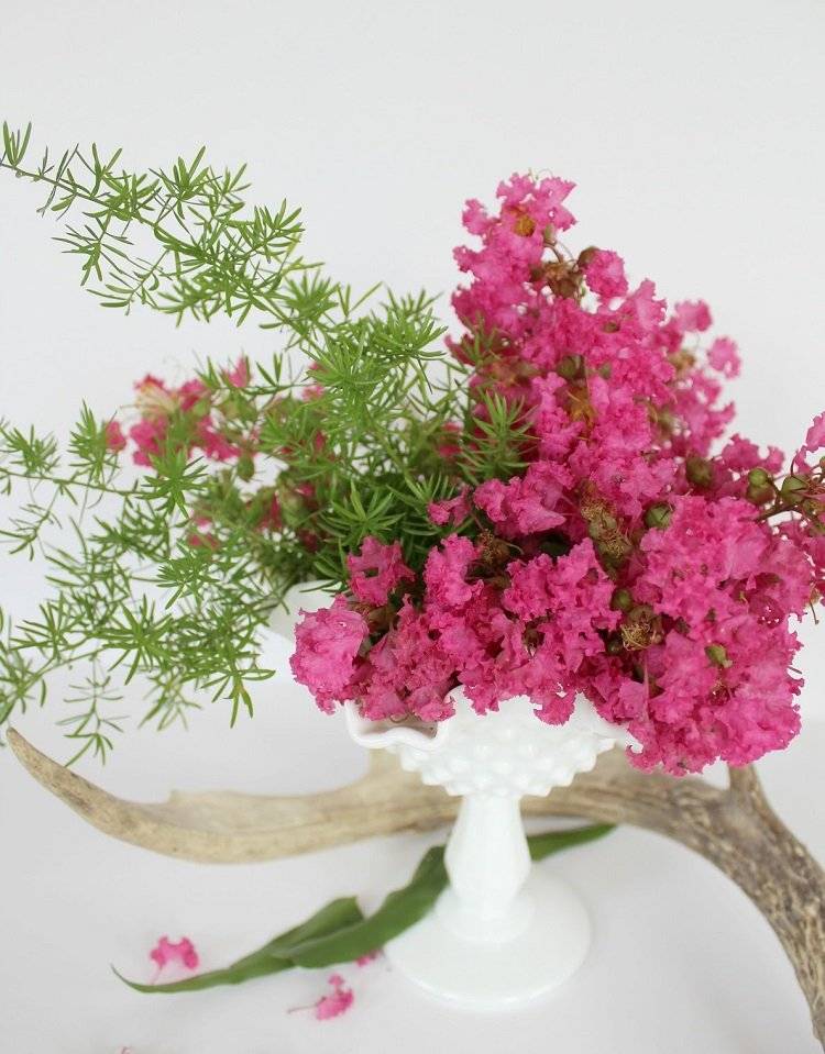 bouquet of crepe myrtle in a vase