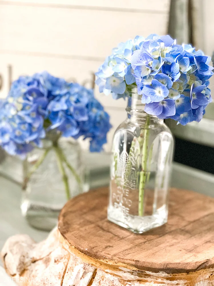 hydrangea flowers are also beautiful in clear jars