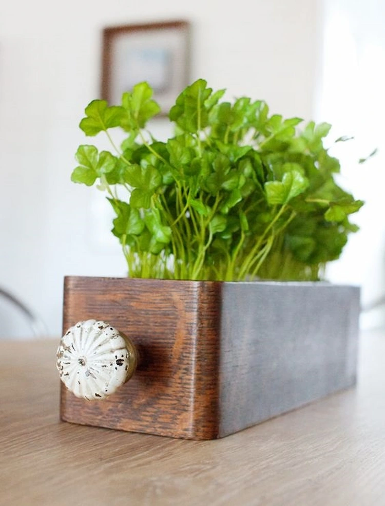 mini herb garden in improvised planter from old drawer