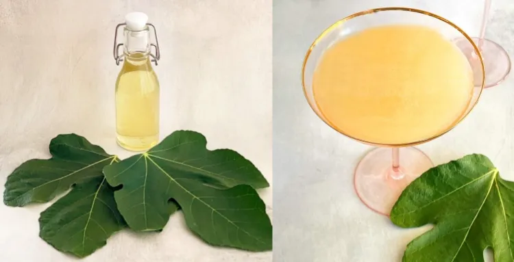 recipes with fig leaves syrup cocktails summer punch original idea