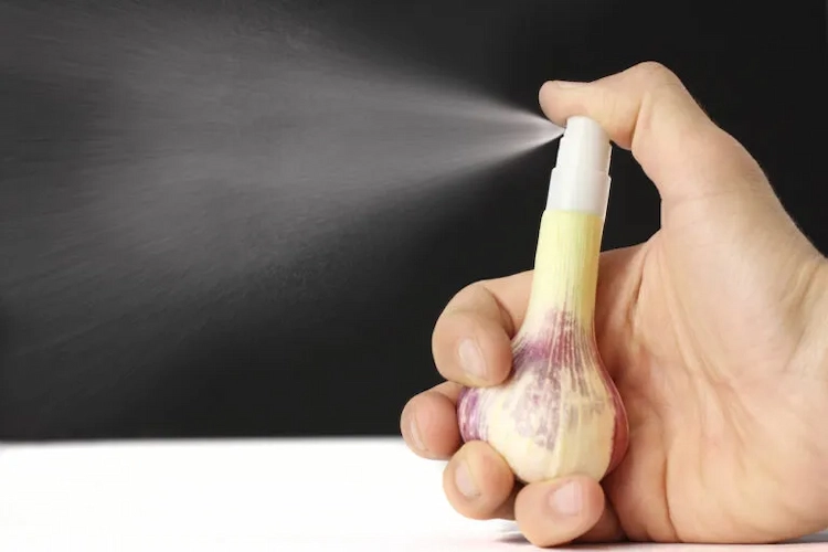 spray with garlic as DIY repellent