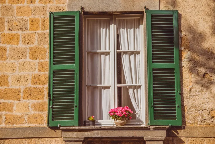 window with flowers and curtains
