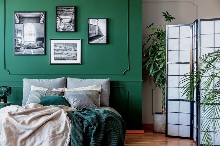 Add Plants to Your Bedroom