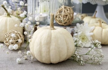 DIY-White-pumpkin-decoration-interesting-and-elegant-craft-ideas-for-fall