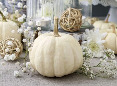 DIY-White-pumpkin-decoration-interesting-and-elegant-craft-ideas-for-fall