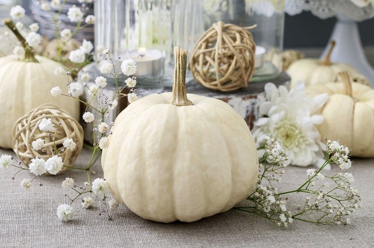 DIY White pumpkin decoration craft ideas for fall
