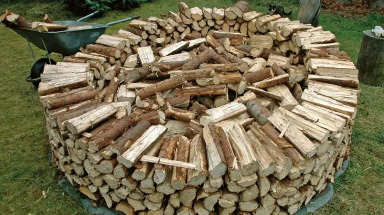 Firewood stacking free standing in the garden