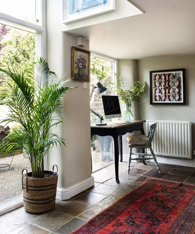 One of the hardest houseplants is the kentia palm