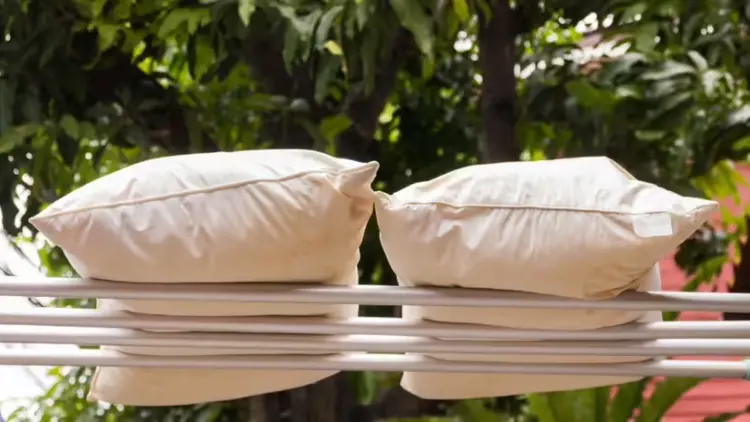 Pillow drying tips and how to