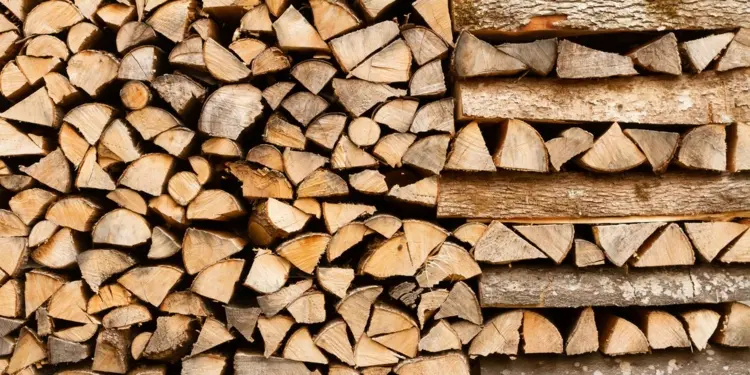 Store firewood on a dry and raised surface