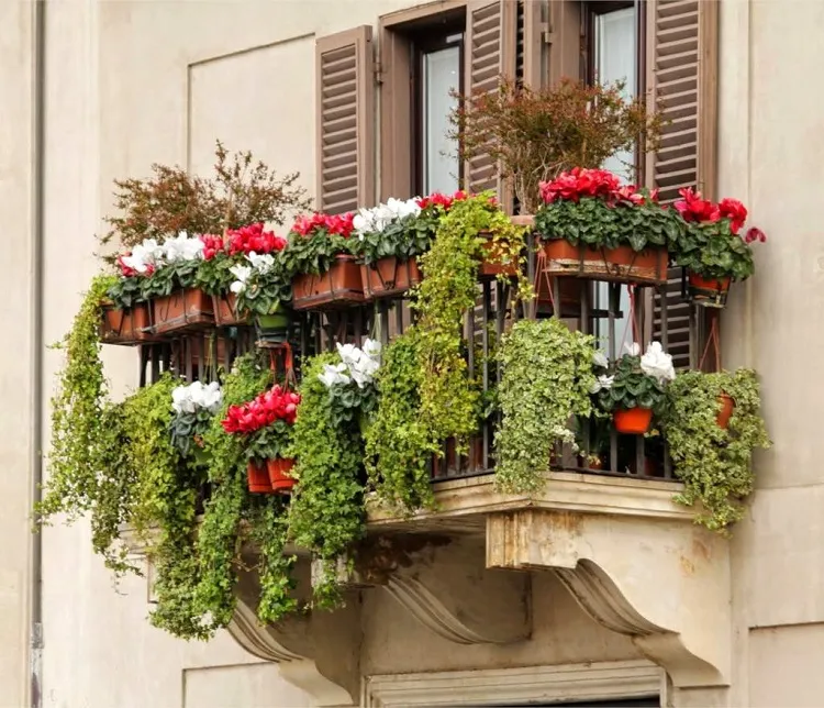autumn cyclamen balcony decor ideas